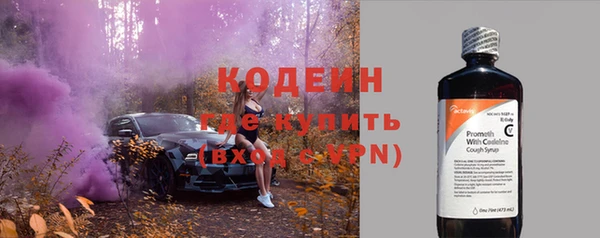 дурь Осташков