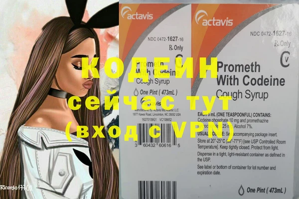 дурь Осташков