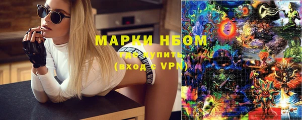 дурь Осташков