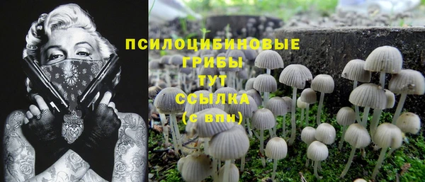 кристаллы Осинники