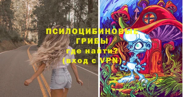 кристаллы Осинники