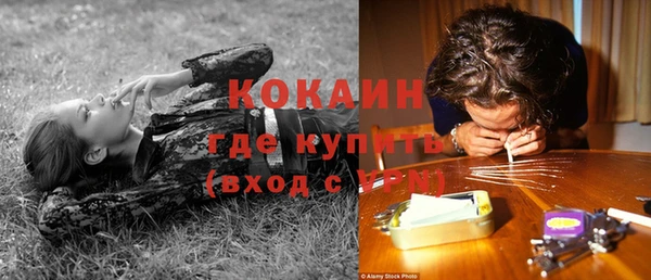 дурь Осташков