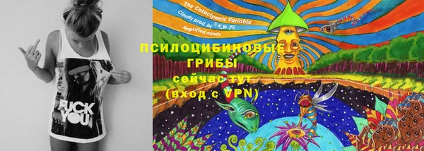 стаф Остров