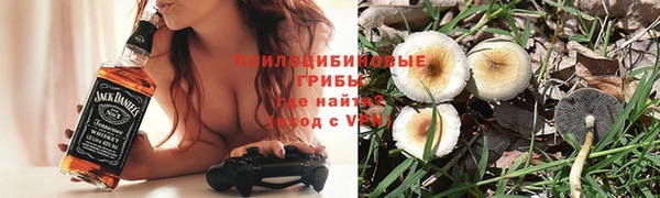 дурь Осташков
